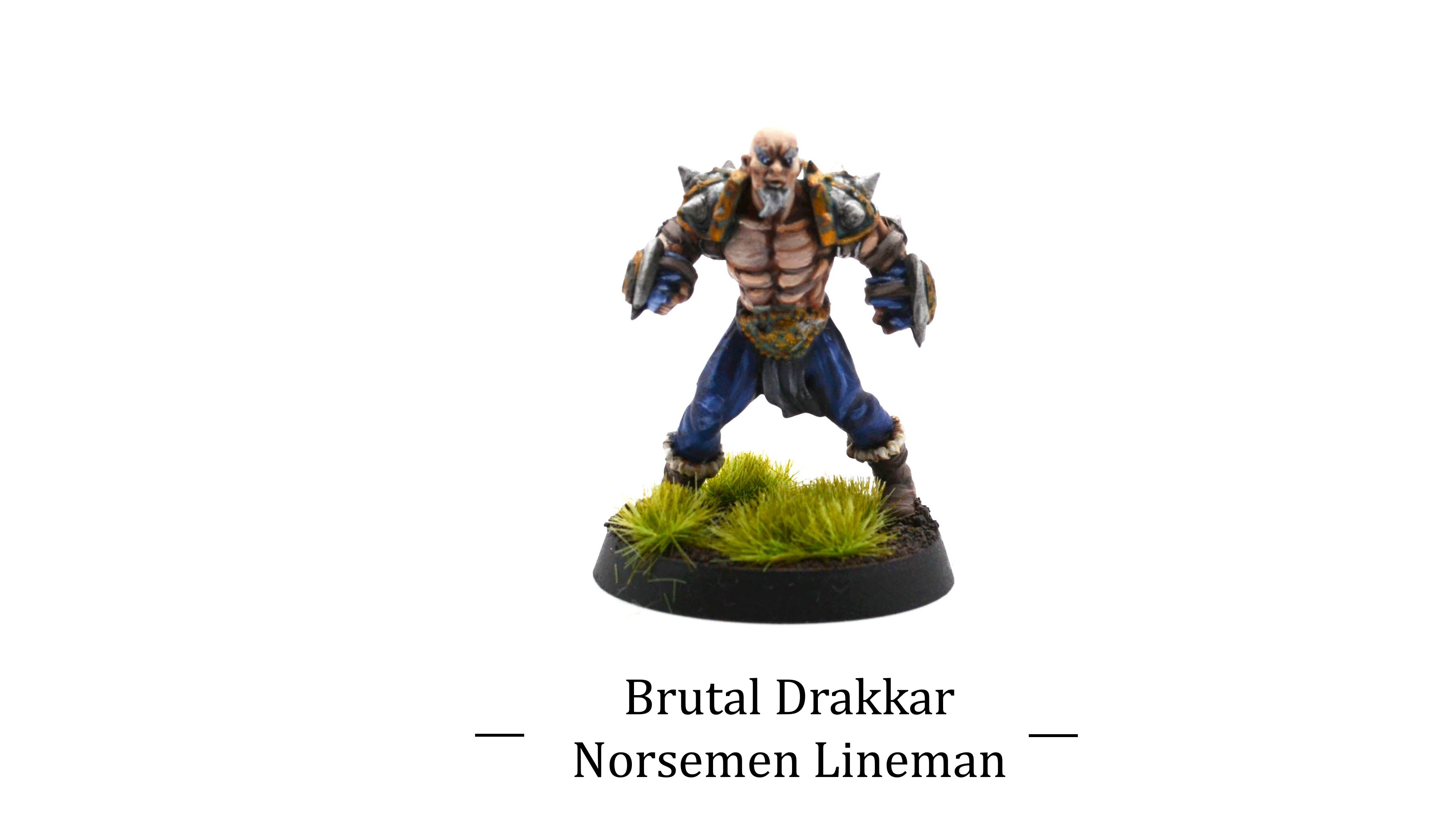 Realm of Paths Brutal Drakkar : Norsemen Linemen miniatures 3d print painted by commission painter.